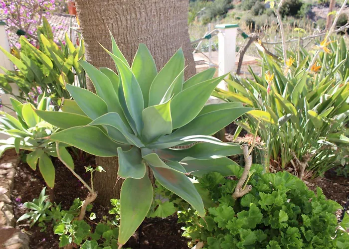 Casa Castillo * Altea
